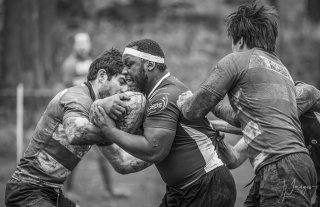 04022024-_nz88130-avec_accentuation-bruit.jpg - JPEG - 420.3 ko - 1024×660 px