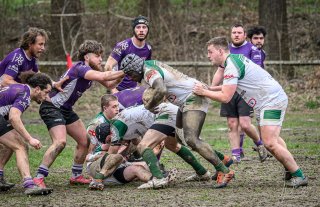 _nz81111-avec_accentuation-bruit.jpg - JPEG - 292.5 ko - 1024×662 px