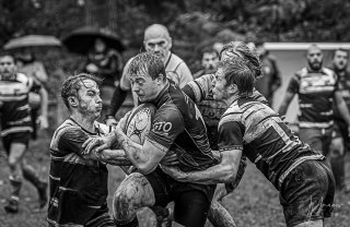 29102023-_nz85149-avec_accentuation-bruit.jpg - JPEG - 184.2 ko - 1024×663 px