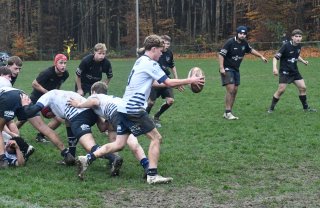 dsc_4441-3.jpg - JPEG - 536.2 ko - 2000×1298 px