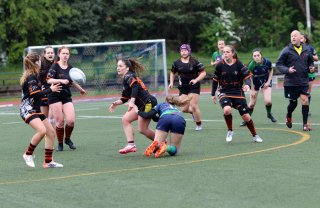 img_8339-3.jpg - JPEG - 421.4 ko - 2000×1297 px