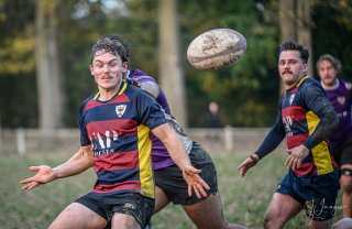 z63_6110.jpg - JPEG - 157.3 ko - 1024×665 px