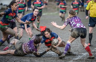 z63_7327.jpg - JPEG - 254.9 ko - 1024×665 px