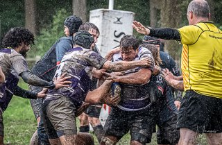 29102023-_nz85095-avec_accentuation-bruit.jpg - JPEG - 305.8 ko - 1024×667 px