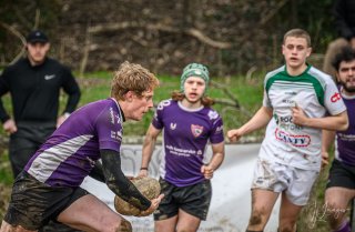 _nz81082-avec_accentuation-bruit.jpg - JPEG - 163.8 ko - 1024×668 px