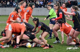 dsc_0733-6.jpg - JPEG - 666 ko - 2000×1301 px