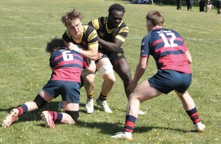 gp5f2467.jpg - JPEG - 546.8 ko - 2000×1301 px