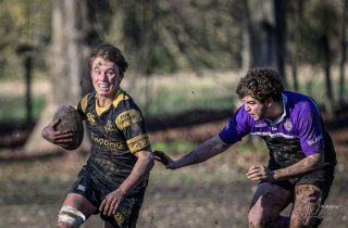 _nz87968.jpg - JPEG - 162.4 ko - 1024×670 px