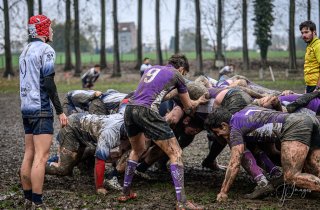 z63_6371.jpg - JPEG - 266.2 ko - 1024×669 px