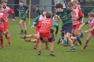 dsc_0898-4.jpg - JPEG - 405.5 ko - 2000×1325 px