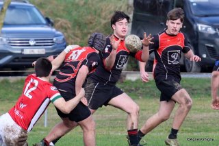 015-bj8a5003.jpg - JPEG - 237.2 ko - 1500×994 px