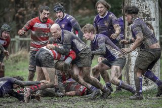 04022024-_nz88062-avec_accentuation-bruit.jpg - JPEG - 816.3 ko - 1024×680 px