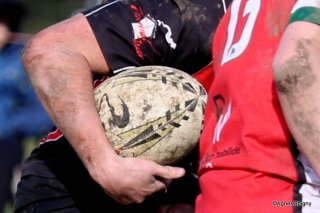 073-bj8a5110.jpg - JPEG - 181.3 ko - 1500×995 px