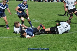 20230924_d1_sen_coq_mosan_10_-_39_brc_part_i_0573.jpg - JPEG - 427.4 ko - 1500×996 px