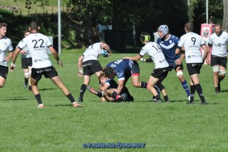 20230924_d1_sen_coq_mosan_10_-_39_brc_part_i_0655.jpg - JPEG - 297.3 ko - 1500×996 px