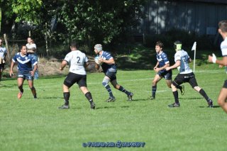 20230924_d1_sen_coq_mosan_10_-_39_brc_part_i_0934.jpg - JPEG - 286.2 ko - 1500×996 px