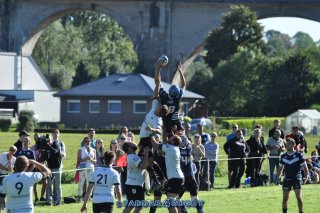 20230924_d1_sen_coq_mosan_10_-_39_brc_part_ii_1334.jpg - JPEG - 281.1 ko - 1500×996 px