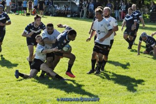 20230924_d1_sen_coq_mosan_10_-_39_brc_part_ii_1586.jpg - JPEG - 443.7 ko - 1500×996 px