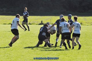 20230924_d1_sen_coq_mosan_10_-_39_brc_part_ii_1716.jpg - JPEG - 336.4 ko - 1500×996 px