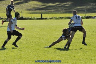 20230924_d1_sen_coq_mosan_10_-_39_brc_part_ii_1728.jpg - JPEG - 340.5 ko - 1500×996 px