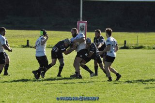 20230924_d1_sen_coq_mosan_10_-_39_brc_part_ii_1819.jpg - JPEG - 319 ko - 1500×996 px