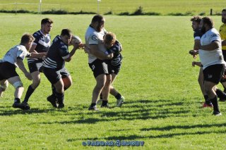 20230924_d1_sen_coq_mosan_10_-_39_brc_part_ii_2141.jpg - JPEG - 401.4 ko - 1500×996 px