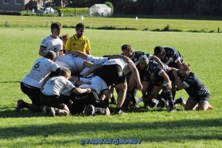 20230924_d1_sen_coq_mosan_10_-_39_brc_part_ii_2157.jpg - JPEG - 368.7 ko - 1500×996 px