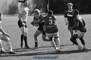 20231015_d1_sen_la_hulpe_41_-_20_brc_0677_zw.jpg - JPEG - 267.5 ko - 1500×996 px