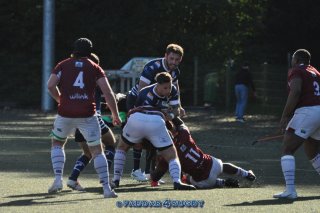 20231015_d1_sen_la_hulpe_41_-_20_brc_0743.jpg - JPEG - 230.6 ko - 1500×996 px