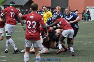 20231015_d1_sen_la_hulpe_41_-_20_brc_1257.jpg - JPEG - 311.3 ko - 1500×996 px