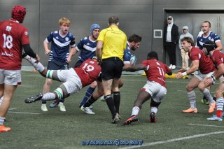 20231015_d1_sen_la_hulpe_41_-_20_brc_1338.jpg - JPEG - 292.4 ko - 1500×996 px