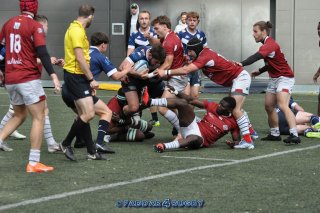 20231015_d1_sen_la_hulpe_41_-_20_brc_1341.jpg - JPEG - 287.8 ko - 1500×996 px