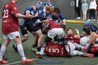 20231015_d1_sen_la_hulpe_41_-_20_brc_1354.jpg - JPEG - 304.1 ko - 1500×996 px