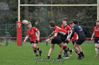 20240316_d2_u16_rc_diabolos_32_-_31_coq_mosan_hesby_0380.jpg - JPEG - 249.6 ko - 1500×996 px