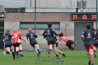 20240316_d2_u16_rc_diabolos_32_-_31_coq_mosan_hesby_0830.jpg - JPEG - 262 ko - 1500×996 px