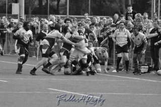 20240414_d3_sen_antwerp_rc_10_-_26_rc_diabolos_1193_zw.jpg - JPEG - 252.8 ko - 1500×996 px