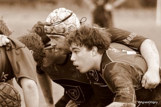 35-bj8a4681.jpg - JPEG - 224.4 ko - 1500×996 px