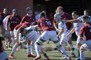 _d2s7837_copie.jpg - JPEG - 430 ko - 2000×1331 px