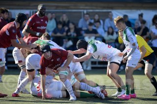 _d2s7854_copie.jpg - JPEG - 534 ko - 2000×1331 px