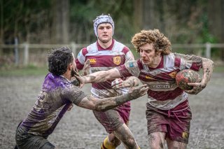 _nz82393-avec_accentuation-bruit.jpg - JPEG - 196.8 ko - 1024×680 px