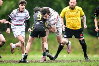 dsc_2538-3.jpg - JPEG - 440.2 ko - 2000×1331 px