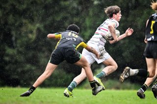 dsc_2556-5.jpg - JPEG - 389.2 ko - 2000×1331 px