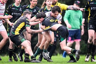 dsc_2638-3.jpg - JPEG - 519.5 ko - 2000×1330 px