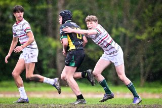 dsc_2646-5.jpg - JPEG - 427.2 ko - 2000×1331 px