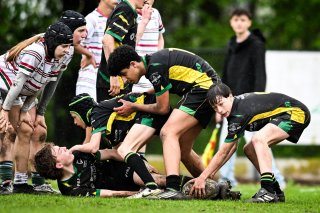 dsc_2708-2.jpg - JPEG - 513 ko - 2000×1331 px