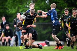 dsc_3573-4.jpg - JPEG - 387.6 ko - 2000×1331 px