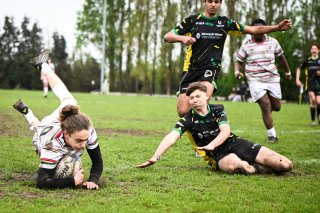 dsc_4661-5.jpg - JPEG - 528.2 ko - 2000×1330 px