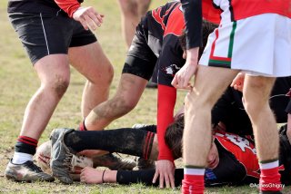 020-bj8a7490.jpg - JPEG - 1.8 Mo - 2538×1692 px