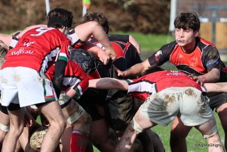 031-bj8a5034.jpg - JPEG - 254.1 ko - 1500×1003 px