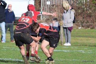 032-bj8a5035.jpg - JPEG - 256.9 ko - 1500×999 px